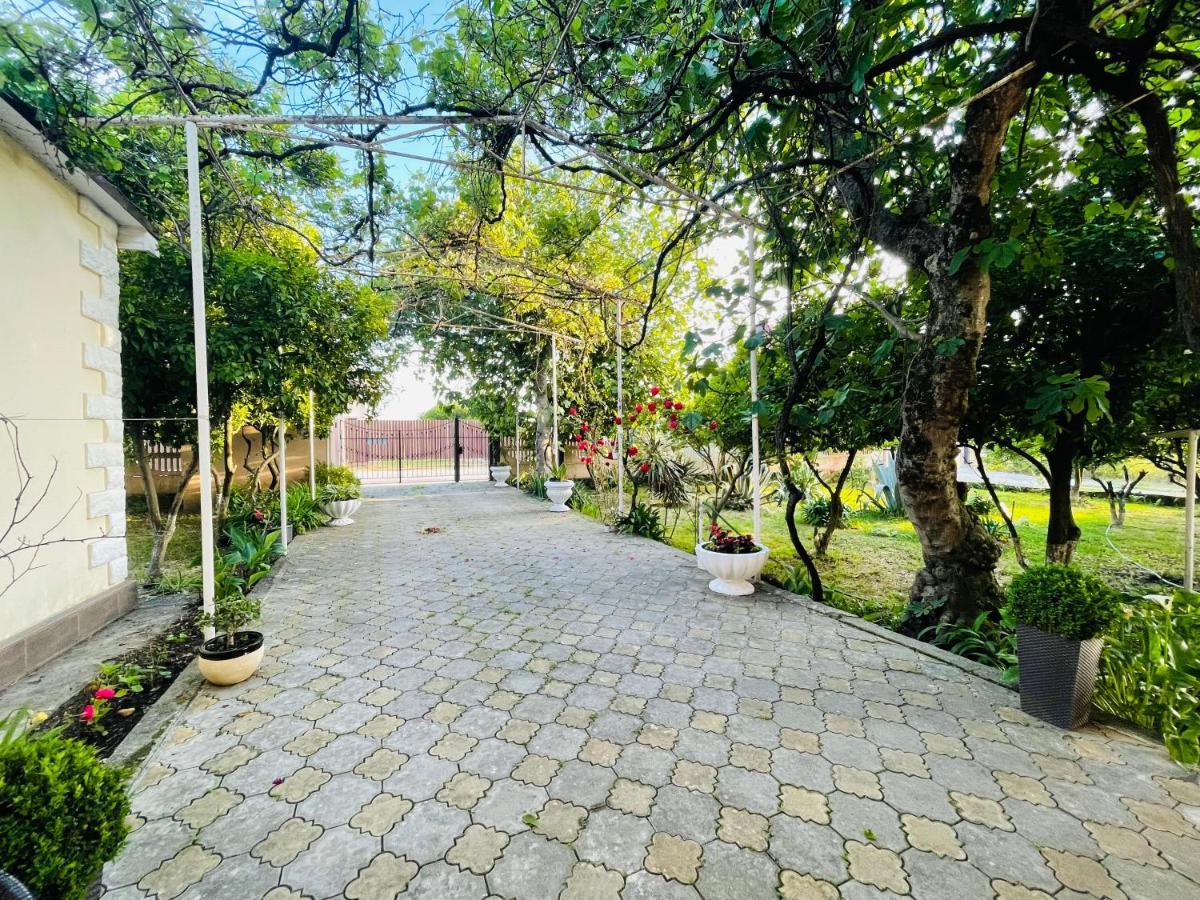 Hotel Askar Alakhadze Екстериор снимка