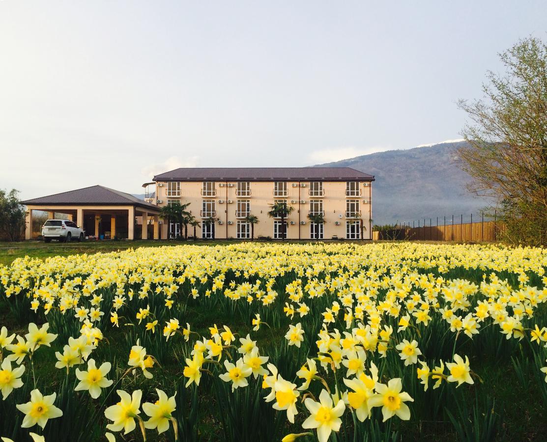 Hotel Askar Alakhadze Екстериор снимка